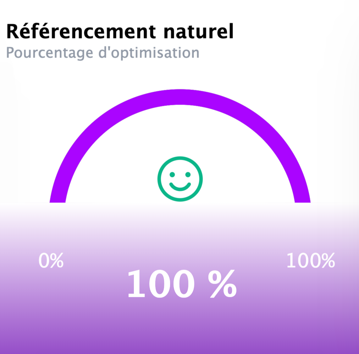 score seo d'une boutique générée avec toko